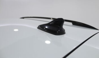 CUPRA Formentor 2.0 TDI CUPRA completo
