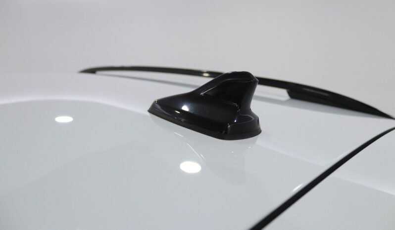 CUPRA Formentor 2.0 TDI CUPRA completo